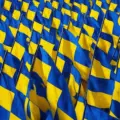 Support Ukraine and Protest Trump at State Capitals